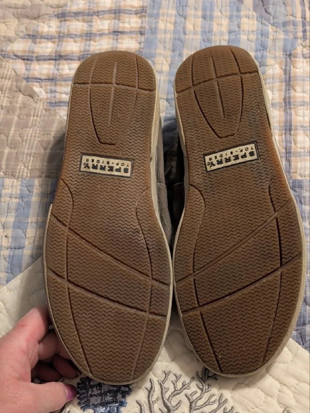 Sperry casual canvas